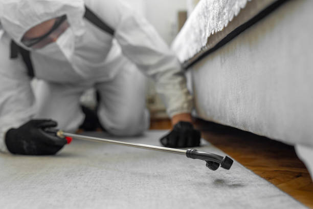 Professional Cockroach Control technician working in Franklin, OH