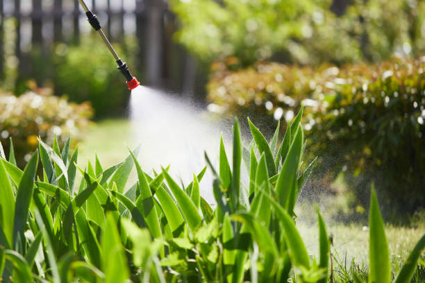 24/7 Emergency Cockroach Control experts in Franklin, OH
